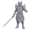 Sarevok Anchev & Raphael Miniatures Baldur's Gate 3 – D&D Wizkids
