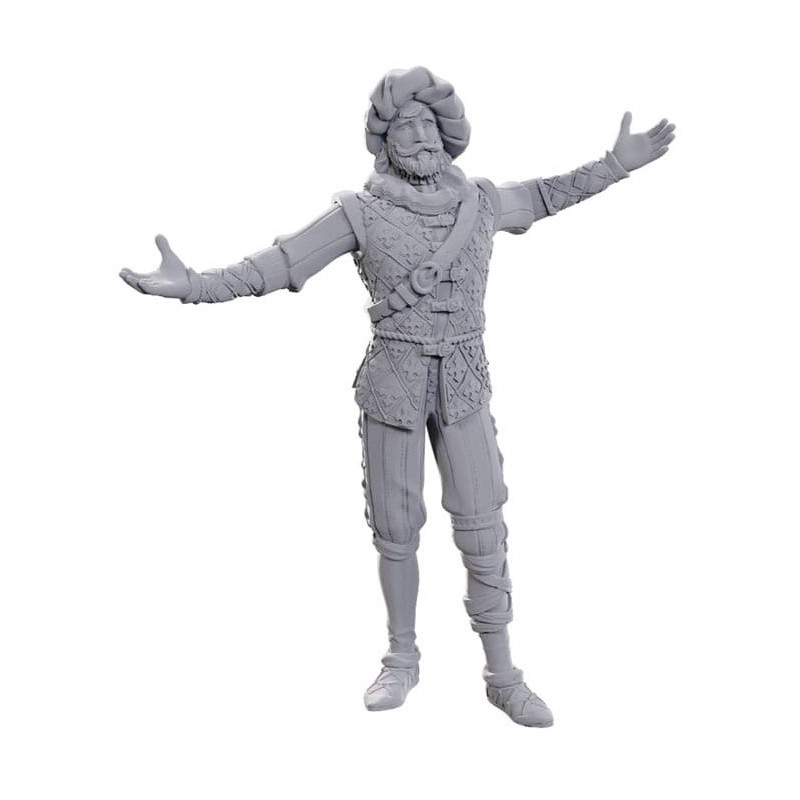 Volo & Withers Miniatures Baldur's Gate 3 – D&D Wizkids