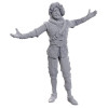 Volo & Withers Miniatures Baldur's Gate 3 – D&D Wizkids
