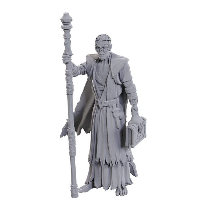 Volo & Withers Miniatures Baldur's Gate 3 – D&D Wizkids
