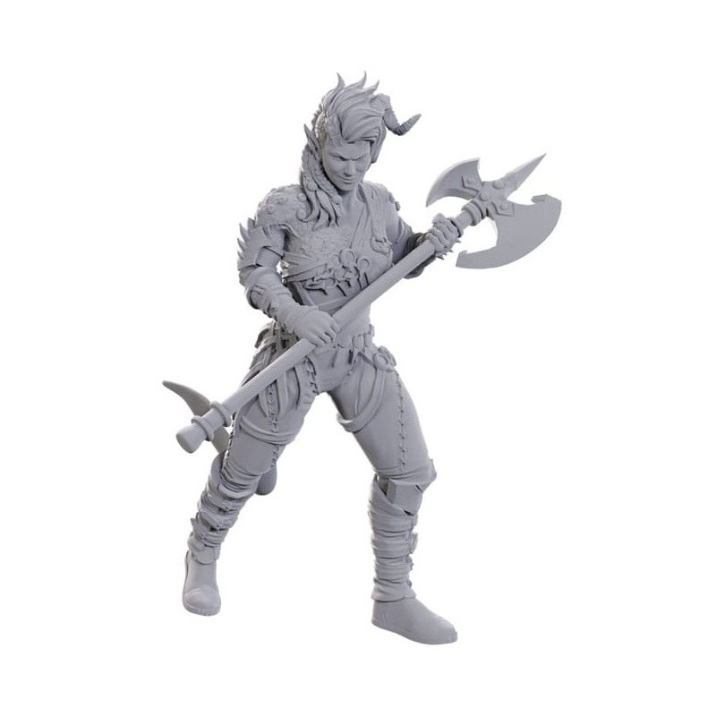 Wyll & Karlach Miniatures Baldur's Gate 3 – D&D Wizkids