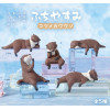 Petite figurine Fuchiyasumi Small-Clawed Otter 1 EXEMPLAIRE ALEATOIRE