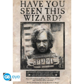 Harry Potter - Grand poster Sirius Black Wanted (61 x 91,5 cm)