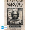 Harry Potter - Grand poster Sirius Black Wanted (61 x 91,5 cm)