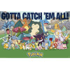 Pokémon - Grand poster Catch 'Em All (61 x 91,5 cm)
