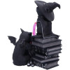 Figurine Curious Cauldron Cult Cuties – Nemesis Now