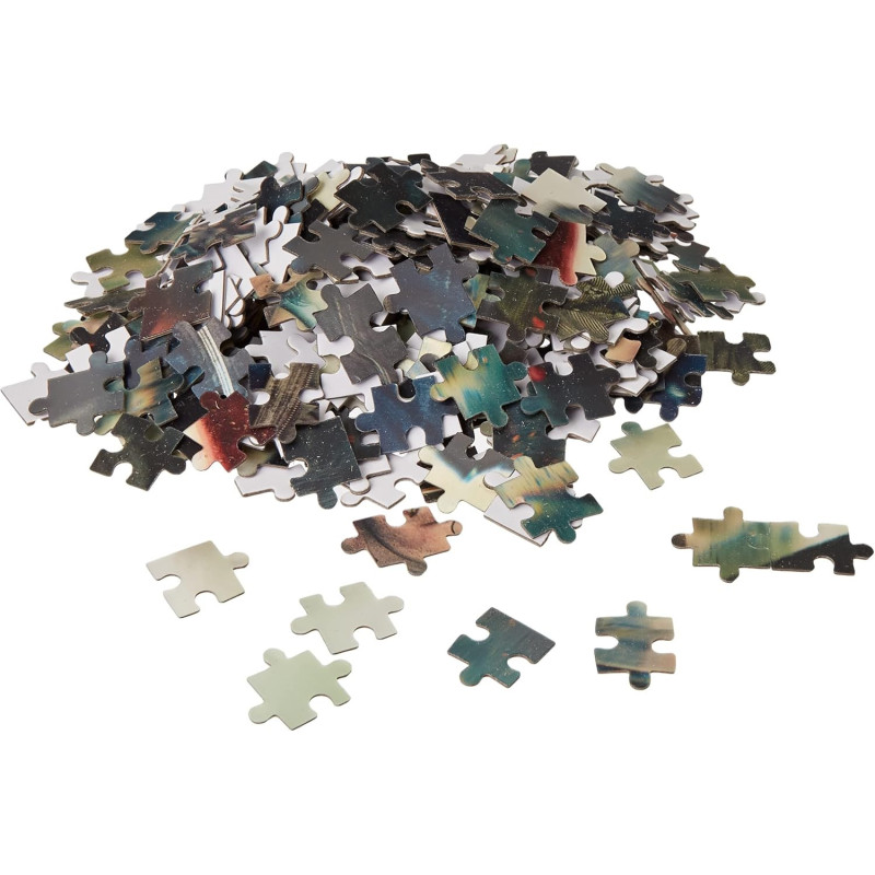 Harry Potter – Puzzle lenticulaire 3D – 300 pièces