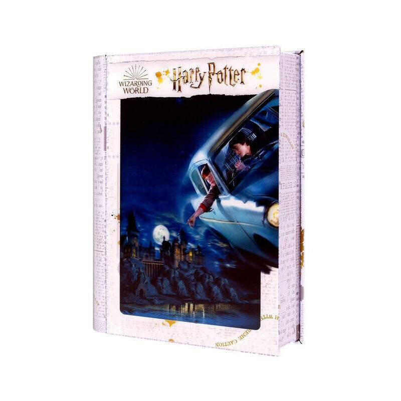 Harry Potter - Puzzle lenticulaire 300 pièces Ron & Harry Fly Over
