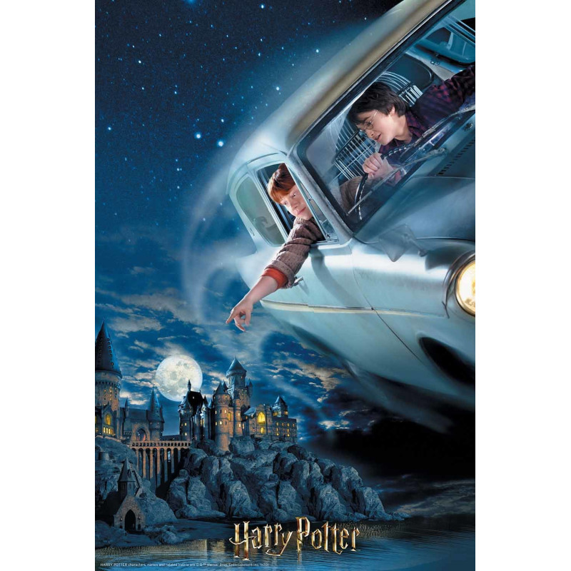 Harry Potter – Puzzle lenticulaire 3D Ron & Harry – 300 pièces