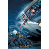 Harry Potter – Puzzle lenticulaire 3D Ron & Harry – 300 pièces