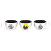 Harry Potter – Mug Hogwarts – Pyramid International