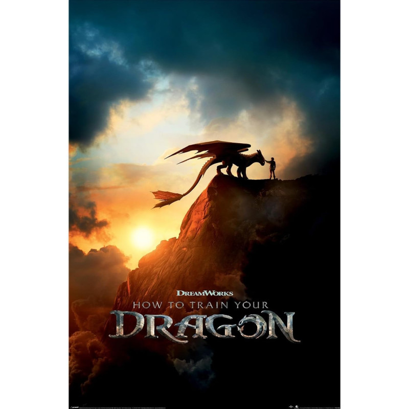 How to train your Dragon - Dragons - Grand poster Movie (61 x 91,5 cm)