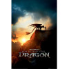 How to train your Dragon - Dragons - Grand poster Movie (61 x 91,5 cm)