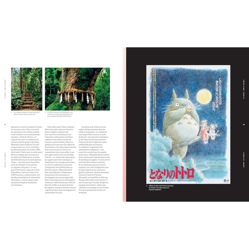 Les Mondes de Hayao Miyazaki – Nicolas Rapold – Ynnis Éditions