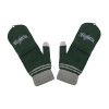 Harry Potter - gants moufles mitaines Slytherin