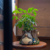 Ghibli – Planter pot à crayons Totoro Tronc d’Arbre – Benelic