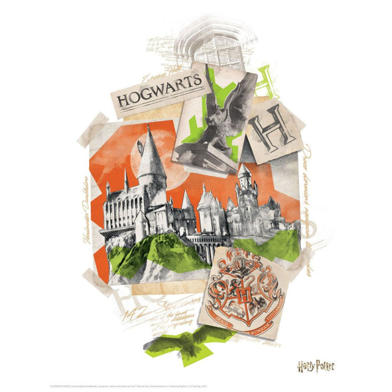 Harry Potter – Set de 10 lithographies – Fanattik