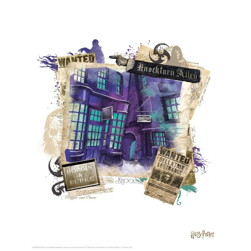 Harry Potter – Set de 10 lithographies – Fanattik