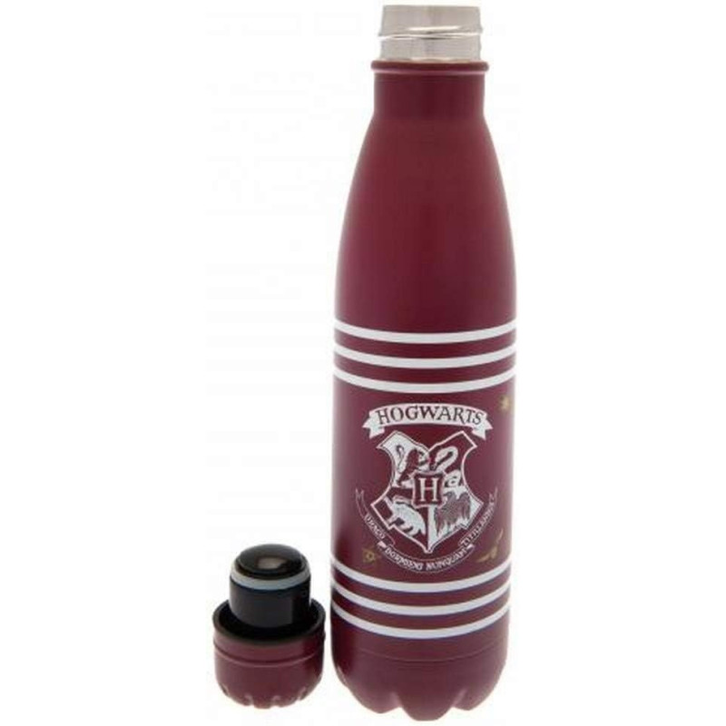 Gourde Harry Potter Hogwarts – 500 ml – Pyramid International