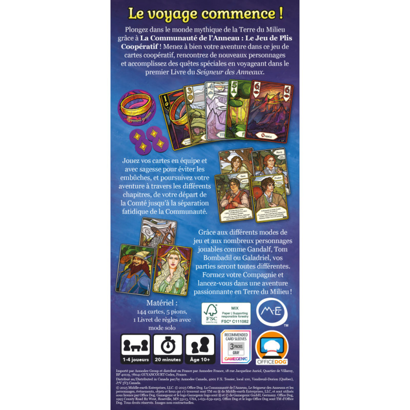 La Communauté de l’Anneau – Jeu de plis coopératif