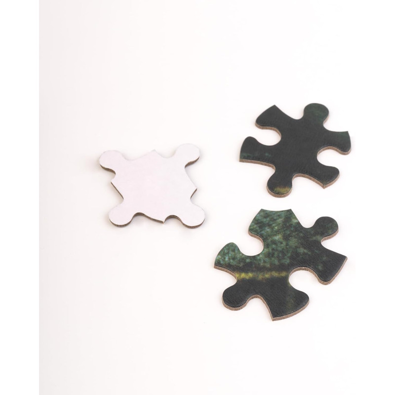 Puzzle 500 pièces Harry Potter – La Chambre des Secrets