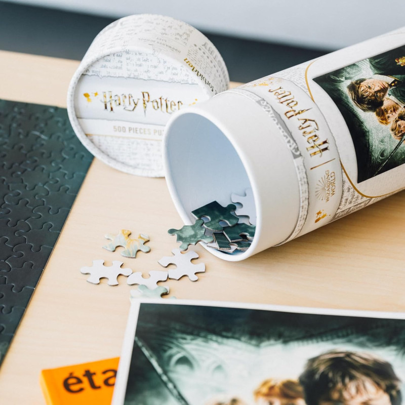 Puzzle 500 pièces Harry Potter – La Chambre des Secrets