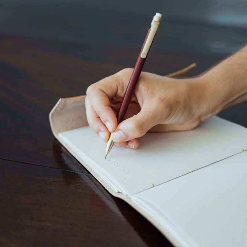 Harry Potter - Carnet premium Cuir Vegan Golden Snitch (Vif d'Or)