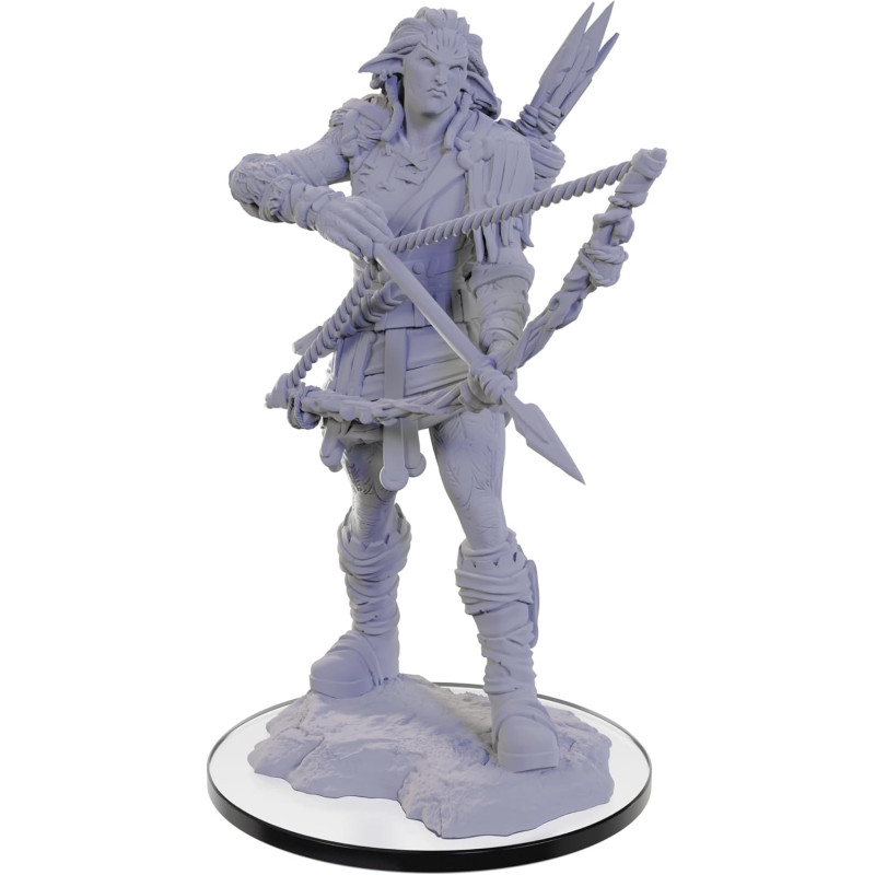 Pathfinder : Deep Cuts - Figurine miniature à peindre Wood Giant