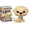 Pets - Pop! - Golden Retriever n°15