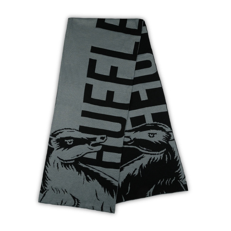 Set écharpe et bonnet Hufflepuff – Officiel Harry Potter