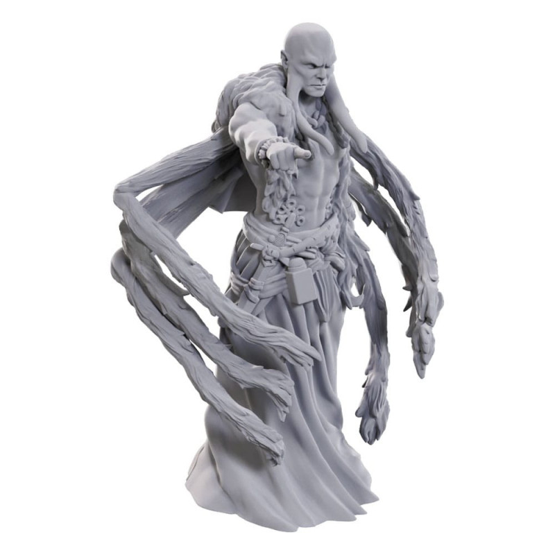 Dungeons & Dragons: Nolzur’s Marvelous - Figurine miniature à peindre Kraken Priest
