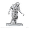 Aghash & Venedaemon Miniatures Pathfinder – Wizkids