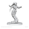 Miniatures Gylou & Ferrugon – Licence Pathfinder – Wizkids