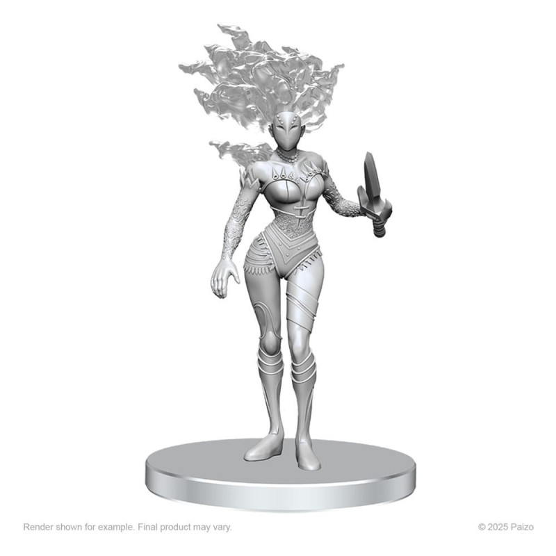 Miniatures Gargoyle & Shae – Licence Pathfinder – Wizkids