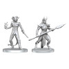 Pathfinder : Deep Cuts - Figurines miniatures à peindre Vordine & Pitborn
