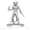 Miniatures Vordine & Pitborn Rogue – Licence Pathfinder – Wizkids