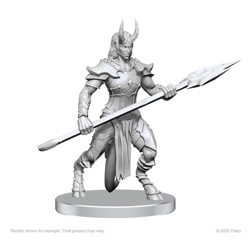 Miniatures Vordine & Pitborn Rogue – Licence Pathfinder – Wizkids