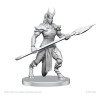 Miniatures Vordine & Pitborn Rogue – Licence Pathfinder – Wizkids