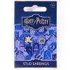 Harry Potter -Boucles d'oreilles Chocogrenouille