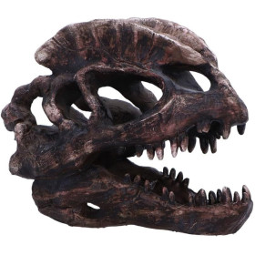 Statue de crâne de dinosaure - Dilophosaurus 16 cm