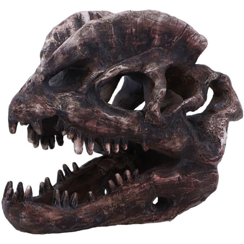 Dilophosaurus – Crâne Dinosaure Réplique – Nemesis Now