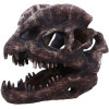 Dilophosaurus – Crâne Dinosaure Réplique – Nemesis Now