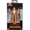 Marvel Legends - Figurine Deadpool & Wolverine : Cassandra Nova