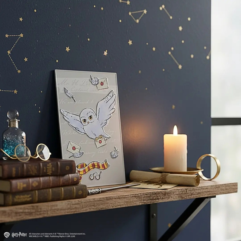 Harry Potter – Plaque en aluminium Hedwige