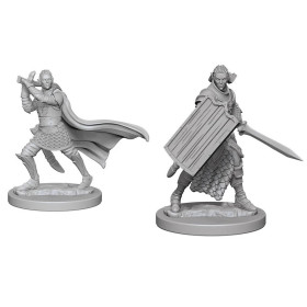 Pathfinder : Deep Cuts - Figurines miniatures à peindre Elf Male Paladin