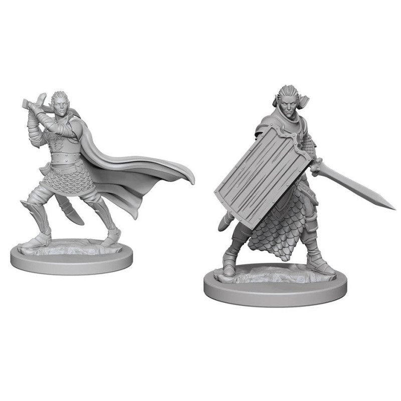 Pathfinder : Deep Cuts - Figurines miniatures à peindre Elf Male Paladin