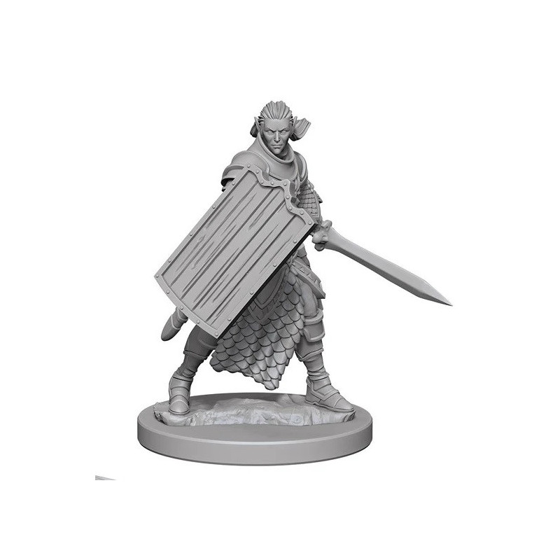 Pathfinder – Elfe Paladin Mâle – WizKids