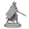 Pathfinder – Elfe Paladin Mâle – WizKids