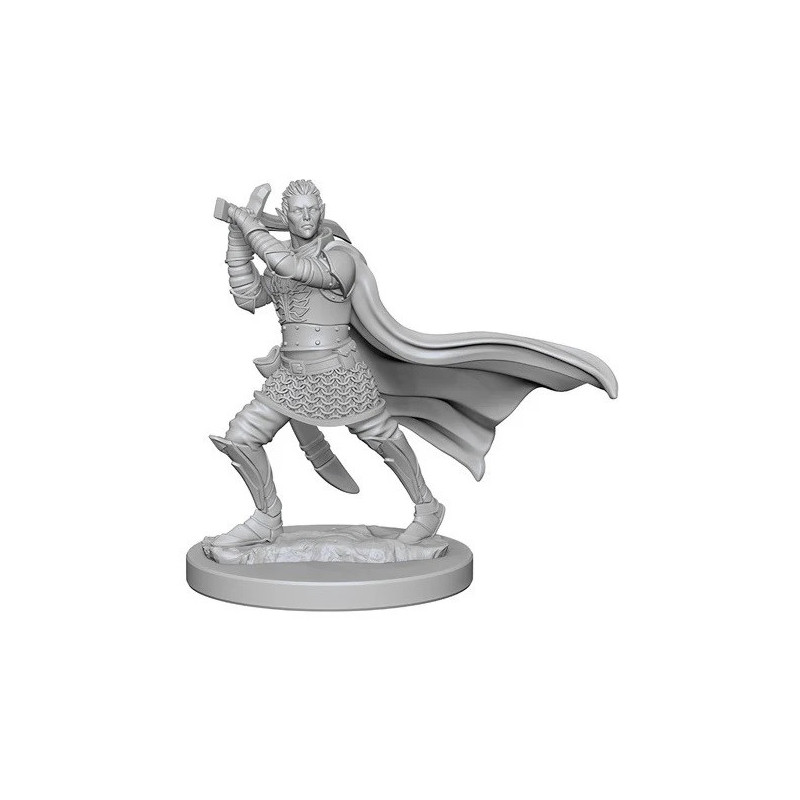 Pathfinder – Elfe Paladin Mâle – WizKids