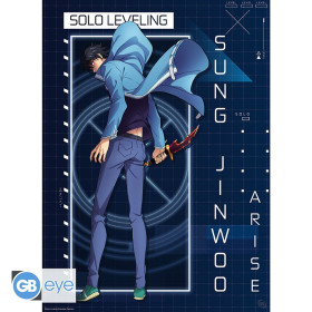 Solo Leveling - Poster Junwoo Arise 52 x 38 cm